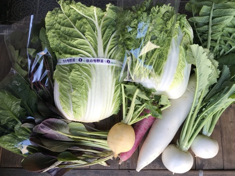 今採れるお野菜セット【漢方栽培】