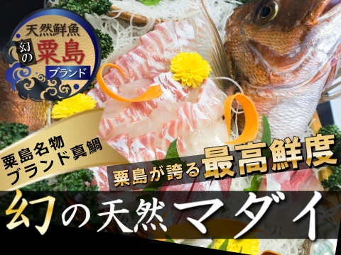 🐟真鯛の聖地🐟日本海の恩恵を最大限享受した粟島ブランド"天然国産真鯛刺身＆ぶりしゃぶ用カット🐟春ギフト🐟