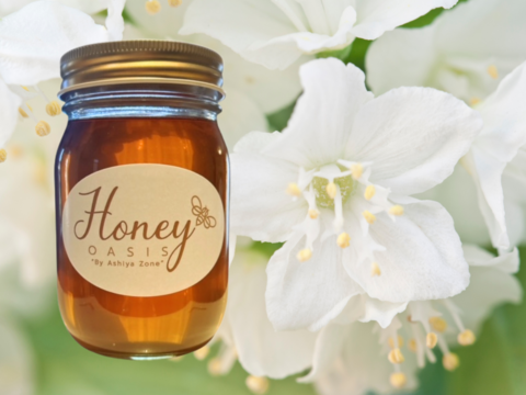 【非加熱･無添加】卯の花　国産生はちみつ　500ｇ