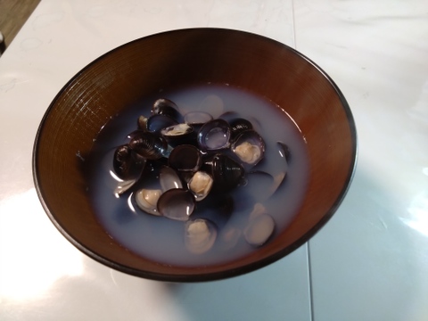 『とれたて新鮮』十三湖産大和しじみ　中サイズ500ｇ×2Ｐ