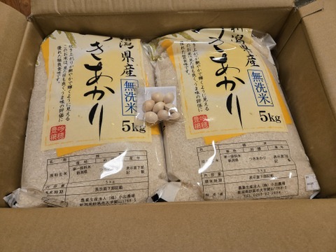 「お米グランプリ2025   4部門受賞🏆」新潟県産　つきあかり  10キロ  無洗米  　令和7年産　(tukiakari-10kg-m)