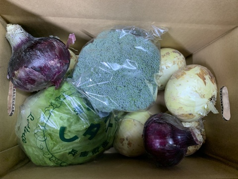 クール100サイズ🆒新玉ねぎ4kgとレタス2個とブロッコリーとレッドオニオン1kgのセット❗️春の野菜セット❗️ 【初回限定BOX】