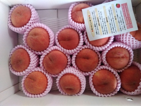 早期予約価格　🍑桃の王様　川中島白桃　約5kg　14～22玉　【ASIAGAP認証農場：津軽農園】8月下旬　採れたて農家直送