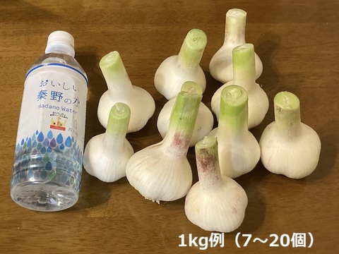 新鮮！【新ニンニク】1kg；農薬、化学肥料不使用