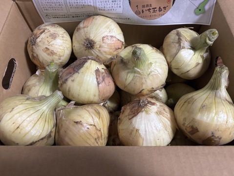 完売間近!!【祝!3年連続金賞🏆】淡路島新玉ねぎ5kg