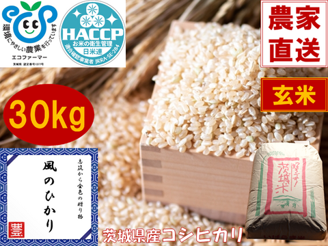 農家直産のお米 米・穀類の通販｜食べチョク｜産地直送(産直)お取り寄せ通販