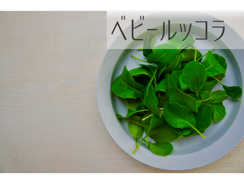 葉が柔らかくて、味が濃い！！「岐阜県産」ミックスべビーリーフ40g ×2セット