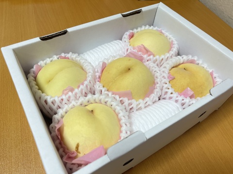 🍑おかやまの白桃　小箱【4〜10個】【ご自宅用】