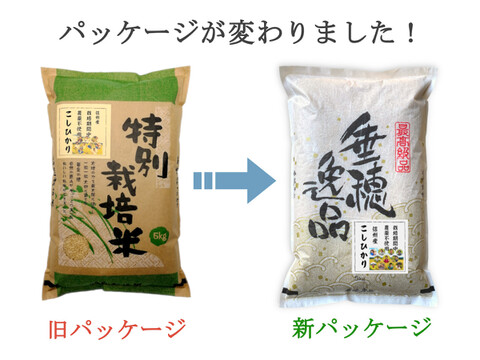 【玄米10kg】 農薬不使用米 信州産 こしひかり （5kg×2袋） 令和3年産