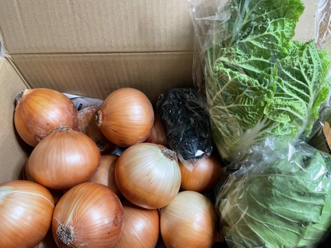 大好評，地層が違う淡路島、大玉ターザン(風袋込み４キロ)