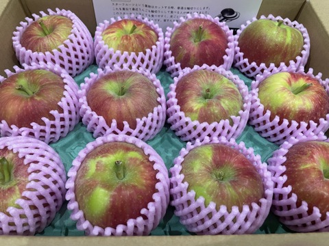 🍎【すっぱい夏りんご】シナノレッド3キロ箱 6玉〜15玉サイズ商品ID40750 長野県 信州 安曇野 リンゴ 幻 幻のリンゴ 予約 希少 旬