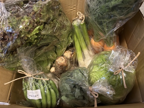 自然栽培野菜Mセット7～9種類