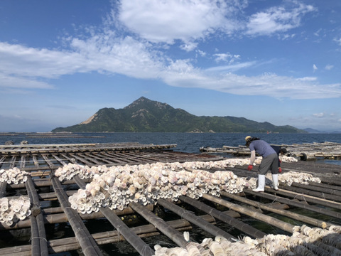 冷凍かきの土手鍋セット　広島県産　生食用牡蠣　本格的な料亭の味　一年中楽しめる♪　冷凍かきむき身200g×2/土手味噌150g×2