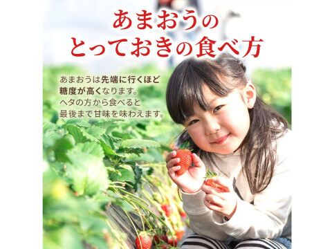 いちごの王様！あまおう苺 人気サイズ 270g×４パック デラックス等級【冬ギフト】