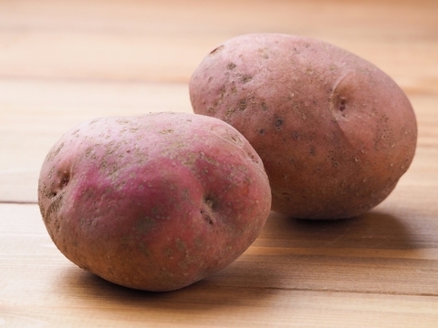 ホクホクした食感と栗のような甘み・アンデスレッド（合計5キロ）