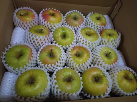 【販売開始！】青森県産りんご「ぐんま名月」家庭用 キズ有 約5kg 【光センサー選果・高リピート率】