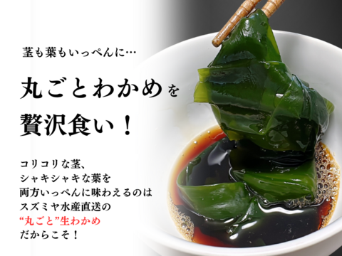 【贅沢生わかめ】やみつきしゃぶしゃぶでぽっかぽか 2kg（10人前）
