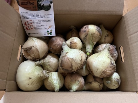 【特別価格】【訳あり】淡路島産玉ねぎ5kg