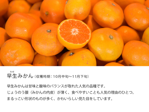 【福袋】有田みかん10kg (ミックスサイズ 2S～3L) 家庭用(訳あり品) やまきずくん 和歌山 311-10