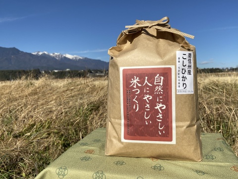 農薬・化学肥料不使用　南信州のこしひかり《玄米》10キロ　令和7年産