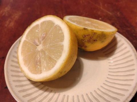 農薬不使用レモン１.８kg　見た目イマイチだけど香り豊か
