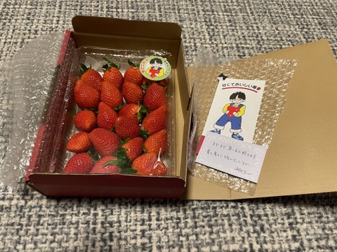 【2年連続品評会入賞🍓】やよいひめこだわりの栽培で味が濃すぎるいちご 500g