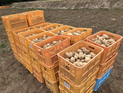ほくほく甘い！屋久島の新じゃが〈ニシユタカ〉農家直送　5㎏