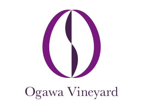 【残りわずか】岡山産シャインマスカット 1房｜甘くてジューシー★高級感あふれる大粒・種なしぶどう！