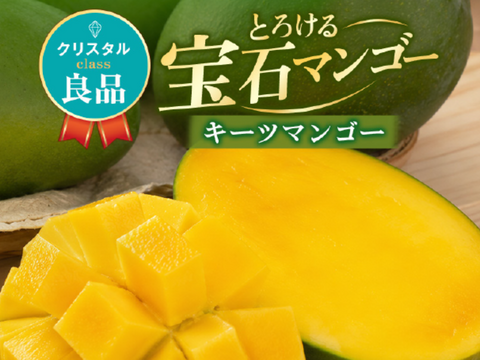 家庭用 良品】宝石マンゴー（キーツマンゴー）1㎏：沖縄県産のキーツ
