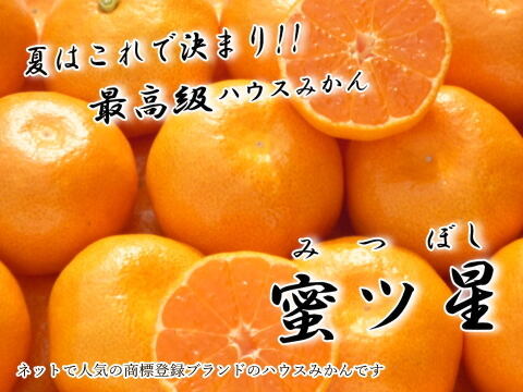 【夏ギフト】【お中元】とろける甘さのハウスみかん！薄皮で果汁たっぷり！冷やしてやみつき！ネットで話題のブランドみかん「蜜ツ星（みつぼし）」　黒化粧箱（中）　Ｓサイズ　秀品　１５玉入　【商品番号03】