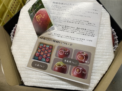 【期間限定ギフト】贅沢４品種ミックス🍎上品7個入りギフトボックス〜化学合成農薬を約40％削減して栽培しました〜安曇野産りんご🍎