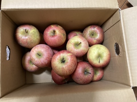 シャキッとジューシー☆葉取らずふじりんご🍎！小玉中心です。5キロ箱バラ詰め家庭用