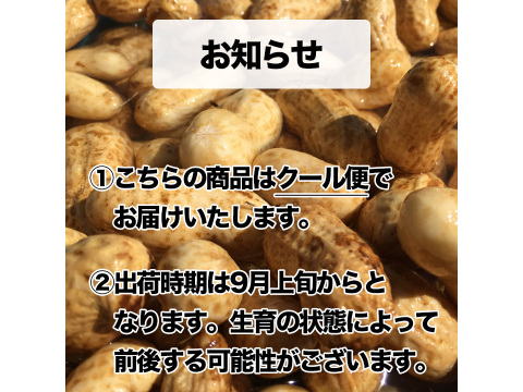 【旬物】ぷりぷり大粒！千葉県産おおまさり6kg 食べ応えバツグンのジャンボ落花生！