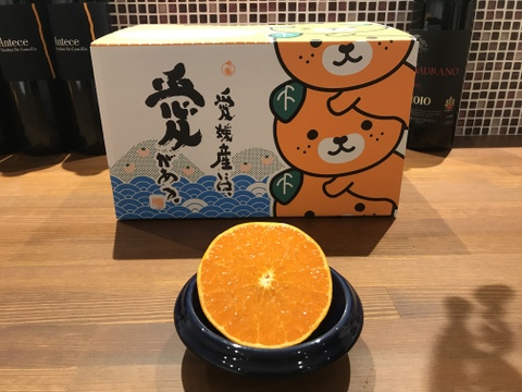 🍊春の柑橘セット🍋【せとか3kg】【イエローレモン1kg】ご家庭用(3kg)