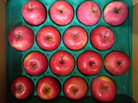 サンふじ(うまじろう)樹上完熟品 御贈答用5kg箱 小玉18玉入り 青森県 南部地方産 自家りんご農園生産直送品！