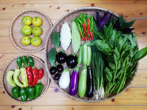 【農薬・化学肥料不使用】早生ミカン付き野菜セット【８種類以上の野菜】【金曜日クール便で発送】【あわせ買い可】【熨斗(のし)対応可】（８０サイズ箱）