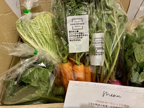 2026年も！畑から直送! 野菜ソムリエ農家　旬のカラフル野菜セット(約7,8品目)