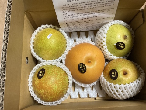 【鳥取県産】和梨食べ比べセット　約3kg