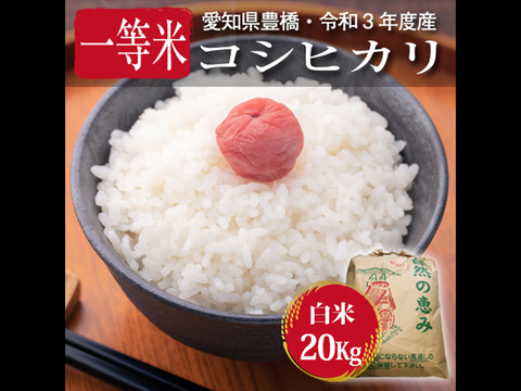 【節減対象農薬6割減・一等米】コシヒカリ 白米20g(10kg×2袋)【令和3年・愛知県産】