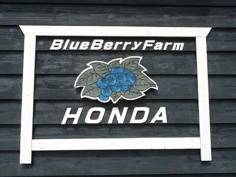 北海道の完熟冷凍ブルーベリー１㌔フリーザパックチャック付き