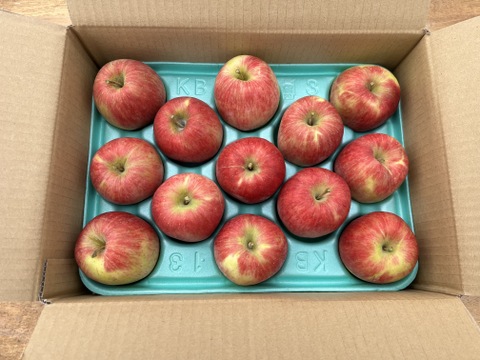 【予約販売・数量限定】長野県産りんご３㎏（スリムレッド）（１１月発送）甘酸適和・小玉