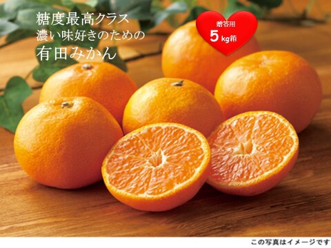【贈答用】濃い味好きのための有田みかん 5キロ箱 和歌山県 有田 みかん S,M,Lサイズ