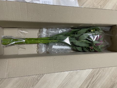 【感謝祭】アルストロメリアの花束　10本