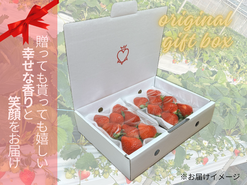 贈答用】完熟いちご「恋みのり」250g×2パック：長崎県産の恋みのり