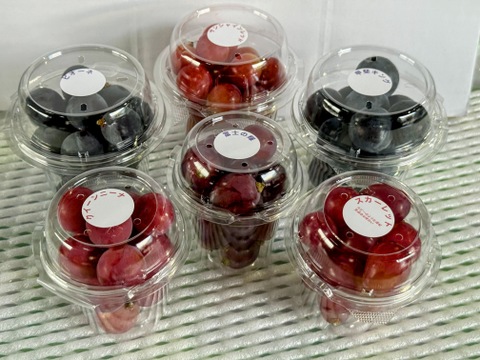 ☆希少品種食べ比べ　粒☆
☆サンシャインレッド、富士の輝、スカーレット、クイーンニーナ、マスカ・サーティーン、マイハート、シャインマスカット、マスカットノワールなど
☆発送期間：9月20日～9月27日