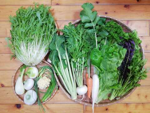【農薬化学肥料不使用】おまかせ野菜セット【８種類以上の野菜】【金曜日発送】【熨斗(のし)対応可】【８０サイズ箱】
