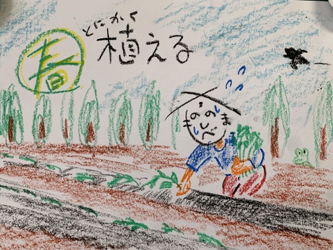 甘くて美味しい安納芋・種子島産・有機農業・食べ応え抜群！中サイズ・4kg