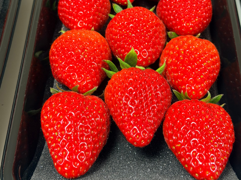 宮城県産【完熟の香り高いスターナイト】250ｇ×2ｐ入り