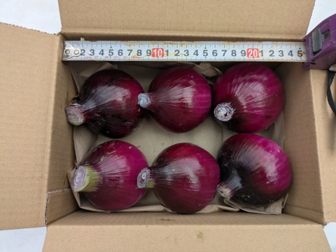 【訳あり】鮮やかな赤玉ねぎ レッドスター玉葱　福岡産　4kg　大玉のみ