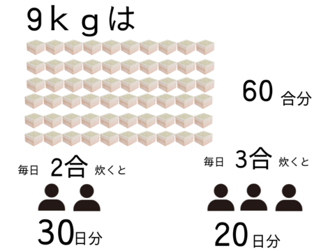 【新米】ひとめぼれ　静岡県産白米　4.5kg×2袋　さっぱりした口当たりと程よい甘み　令和5年度　　のし対応可